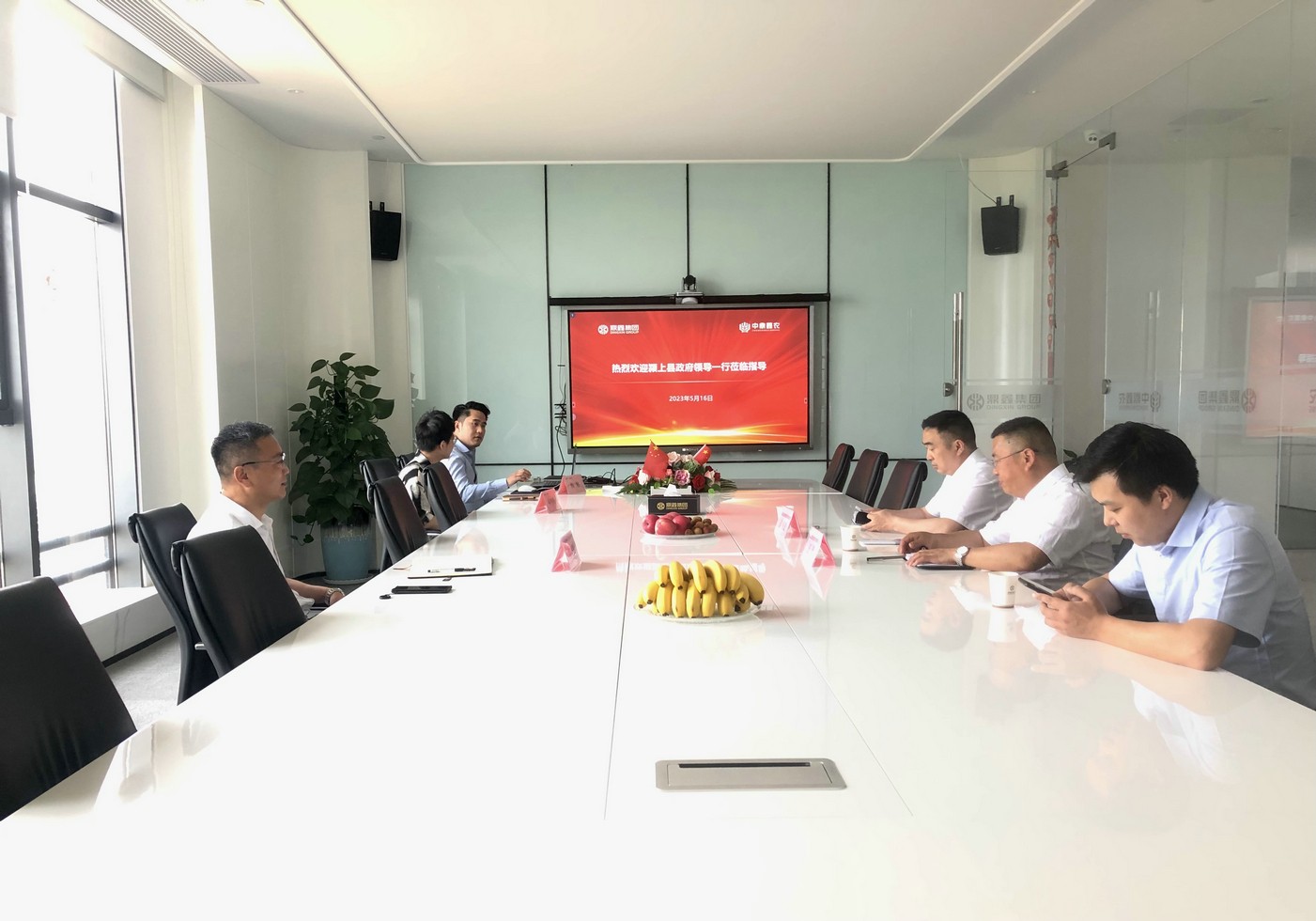 颍上县政府领导一行莅临中云顶集团农集团参观考察